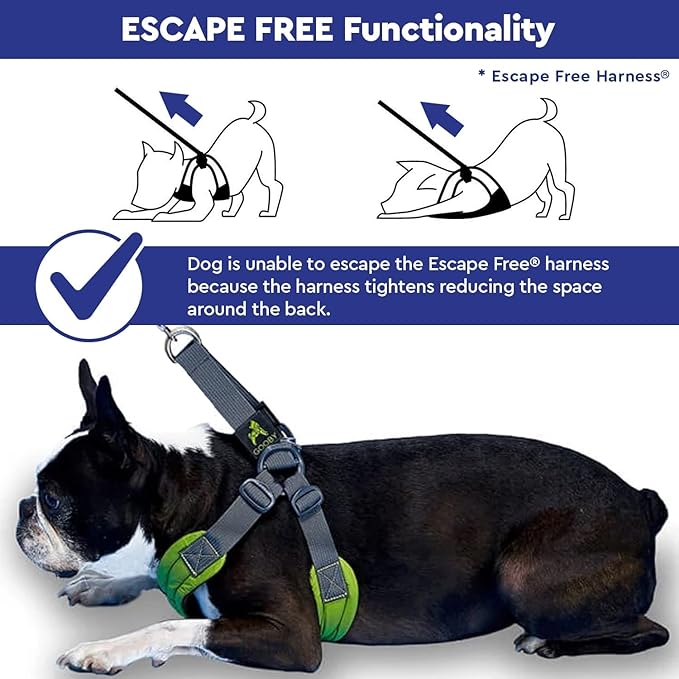 Gooby Escape Free Easy Fit Harness - Blue, Small - No Pull Step-in Patented Small Dog Harness with Quick Release Buckle - Perfect On The Go No Pull Harness for Small Dogs or Medium Dog Harness