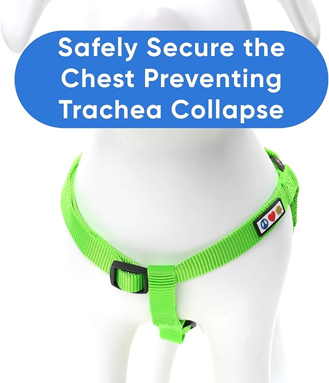 Pawtitas Solid Color Step in Dog Harness or Vest Harness Dog Training Walking of Your Puppy Harness Extra Small Dog Harness Green Dog Harness