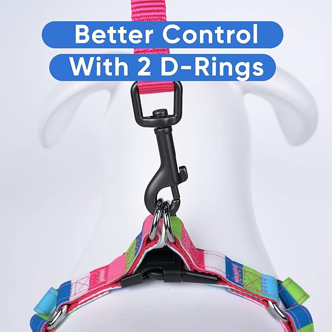 Pawtitas Pet Adjustable Solid Color Step in Puppy/Dog Harness 6 feet Matching Collar and Harness Sold Separately Extra Small Pink/Blue/Teal/Green Multicolor