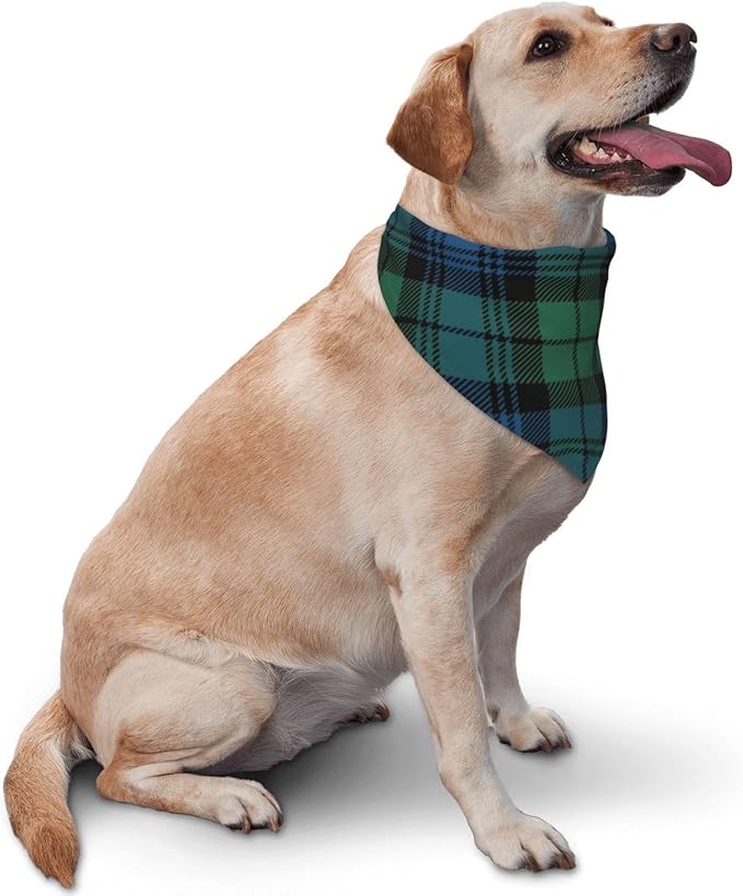 Triangle Plaid Tartan Scottish Clan Campbell Cat & Dog Scarf, Plaid Pet Scarf for Small to Large Dogs & Cats