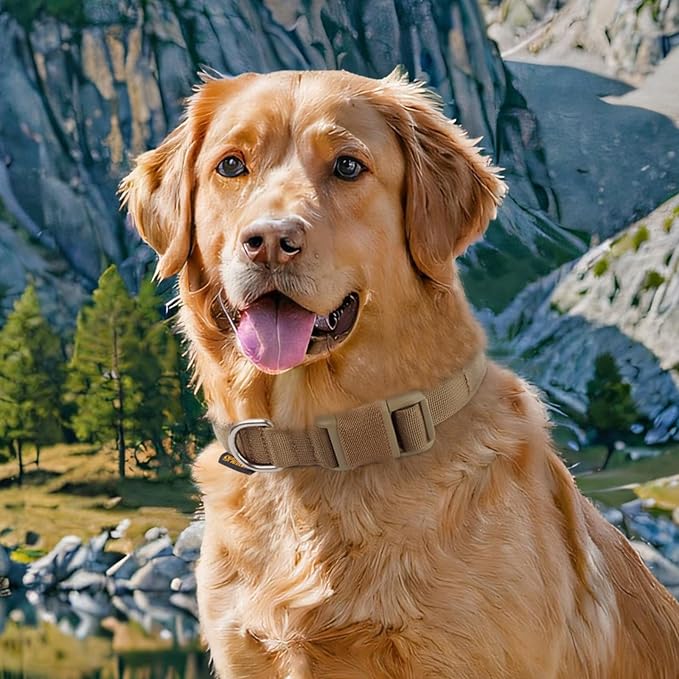 EXCELLENT ELITE SPANKER Tactical Small Puppy Dog Collar Nylon Adjustable Heavy Duty Military for Small Medium and Large Dogs Pet Soft Padded Dog Collar(Grey-S)