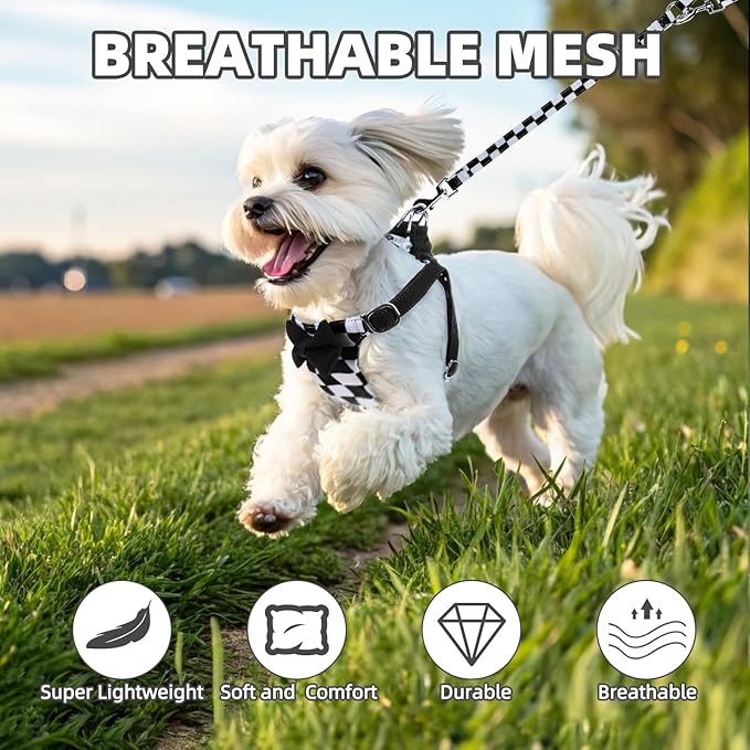 PUPTECK Dog Harness and Leash Set Small Sized, Step-in Cute Puppy Harness, Soft Lightweight Padded Vest, Escape Proof No Pull Pet Harnesses Easy for Walking, Plaid Black & White, XXS