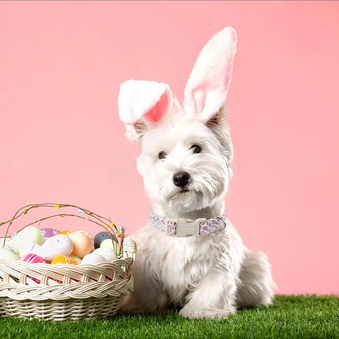 Lionet Paws Easter Dog Collar- Cute Rabbit Purple Eggs Pink Dog Collars with Plastic Buckle, Light Adjustable Dog Collars with Egg Pendant for Small Dogs