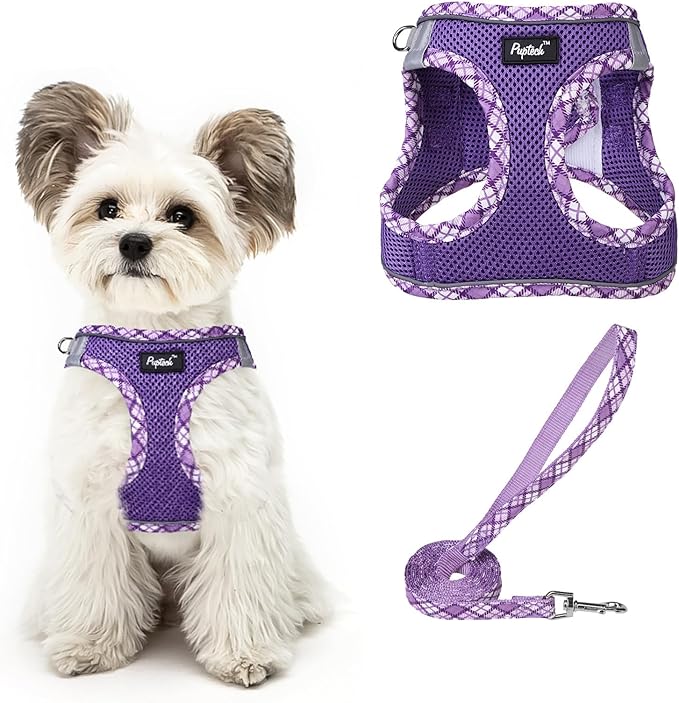 PUPTECK Dog Harness and Leash Set for Small Medium Dogs No Pull Step-in Soft Mesh Puppy Cat Vest Harnesses Reflective at Night, Upgraded New Purple L