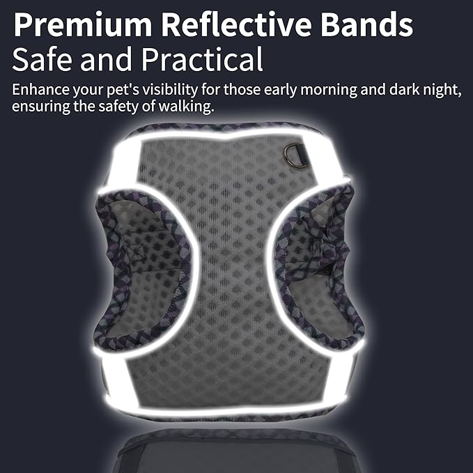 Summer Dog Harness and Leash Set, Soft Dog Vest Harness with Super Breathable Diamond Mesh, Reflective No-Pull Pet Harness for Outdoor Walking, Training for Small Dogs, Cats White XXS