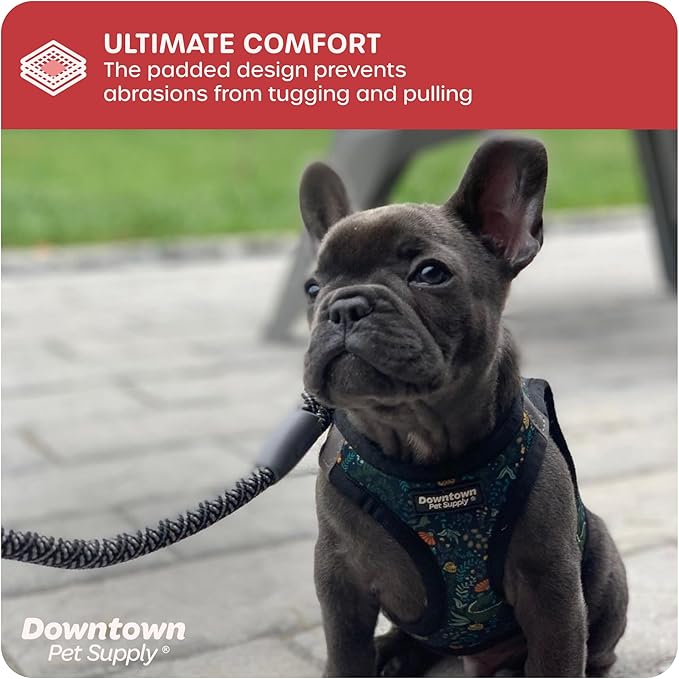 Downtown Pet Supply Step in Dog Harness for Small Dogs No Pull, X-Small, Dinosaur - Adjustable Harness with Padded Mesh Fabric and Reflective Trim - Buckle Strap Harness for Dogs