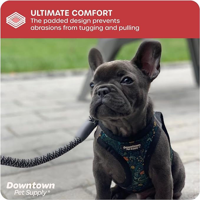 Downtown Pet Supply Step in Dog Harness for Teacup Dogs & Cats No Pull, XX-Small, Dinosaur - Adjustable Harness with Padded Mesh Fabric and Reflective Trim - Buckle Strap Harness for Dogs
