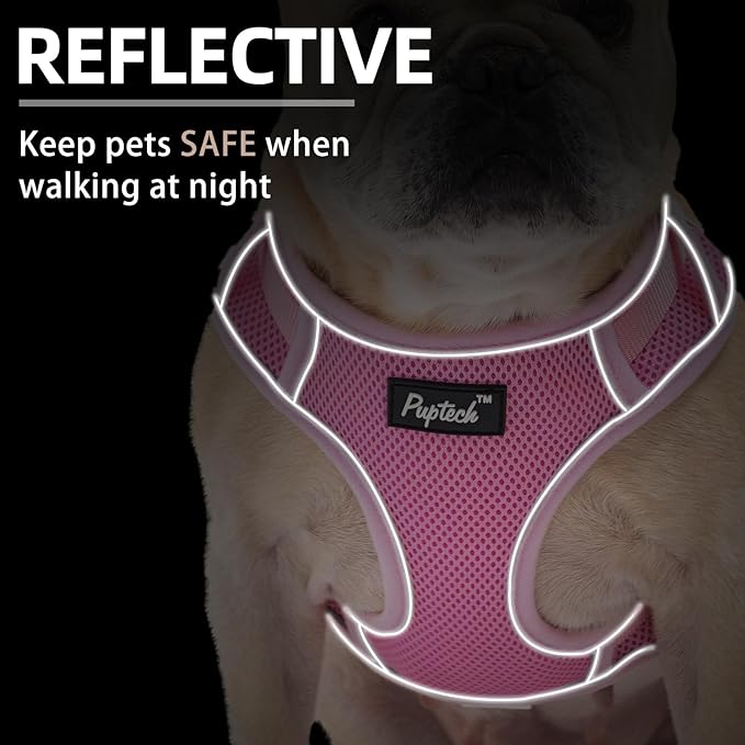 PUPTECK Dog Harness and Leash Set for Small Medium Dogs No Pull, Soft Mesh Adjustable Puppy Cat Harness Reflective at Night, Pink M