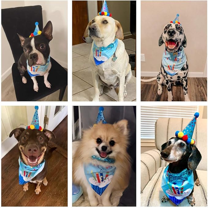 ADOGGYGO Dog Birthday Bandana Scarf and Blue Boy Pet Birthday Party Hat with Cute Bow Tie for Medium Large Dog Pet (Large)