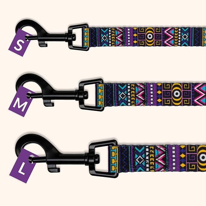 CollarDirect Aztec Dog Leash Nylon Tribal Pattern Cat Pet Leashes for Small Medium Large Dogs Puppy Lead 5 FT Long for Walking (Tribal Magenta, M, New)