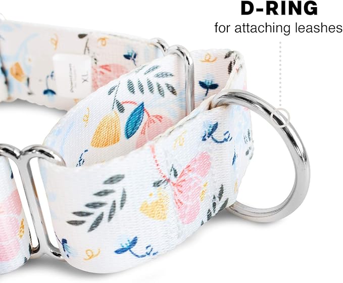 Downtown Pet Supply - Martingale Collar for Dogs - Big, Wide & Thick Dog Training Collar - Escape-Proof, Weatherproof, Durable and Comfortable - Floral - Large