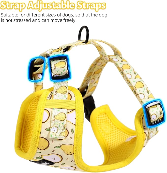 Dog Harness and Leash Set, Adjustable Dog Harness, Dog Leash, No Pull No Choke Puppy Harnesses for Walking Training for Small, Medium, Large Pet