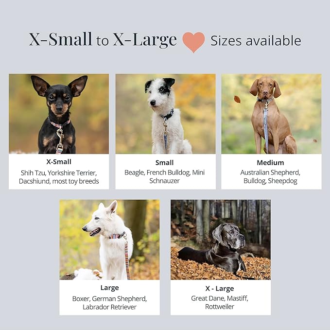 Lucky Love Dog, Matching Dog Collar & Leash Set for Female Dogs, Soft, Adjustable, Safe for Training and Walking, Black & Purple Floral Print, Primrose Combo, Large