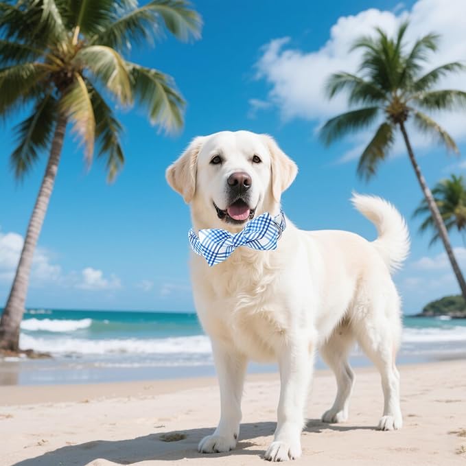 Unique style paws Cotton Dog Collar with Bow Spring Summer Collar with Blue White Grid for Small Medium Large Boys Girls Dogs