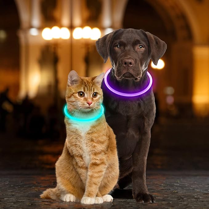 Light Up Dog Collars, Single-Color USB Rechargeable Dlitk LED Dog Collar 1 Count, TPU Cuttable Size Glow Collar for Dogs, Dog Collar Light, Please Do Not Use Fast Charging (Purple)
