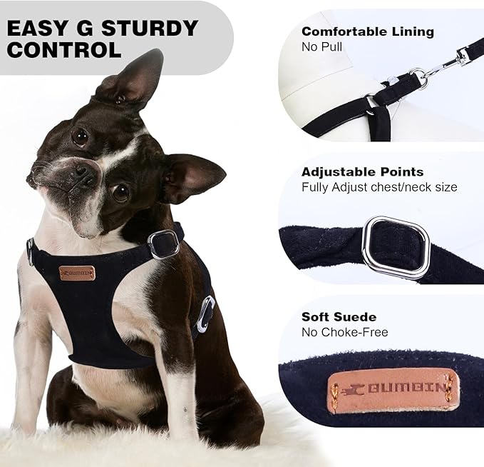 Dog Harness and Leash Set, XXS No Pull Adjustable Puppy Harness with Multifunction Pink Dog Leash and Dog Collar, Soft No Choke Escape Proof Pet Harness Vest for Small Dogs and Cats (Black, M)