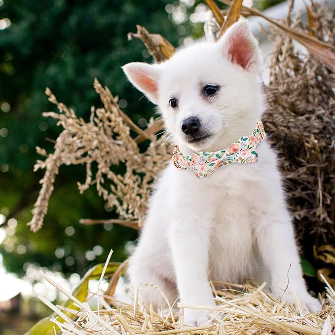 Adjustable Bow Tie Dog Collar Printed Cute Patterns Spring Summer Soft Pet Collars for Small Medium Large Dogs