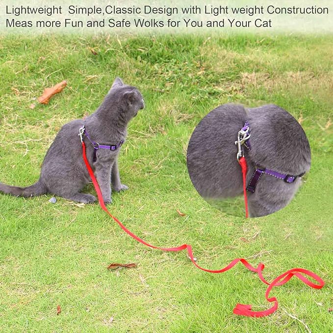 AMAGOOD 6 FT Puppy/ Dog Leash, Strong and Durable Traditional Style Leash with Easy to Use Collar Hook, Great for Small, Medium and Large Dogs (5/8 in x 6 ft, Black and Red (2-Pack))