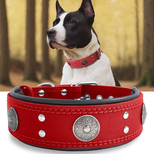 Leather Dog Collar, 2 inches Wide Heavy Duty Genuine Leather Collars, Handmade, Soft, and Luxury, Eye-catching Best Choice for Large and Medium Breed Dogs, Red 19.5-23.5 inches