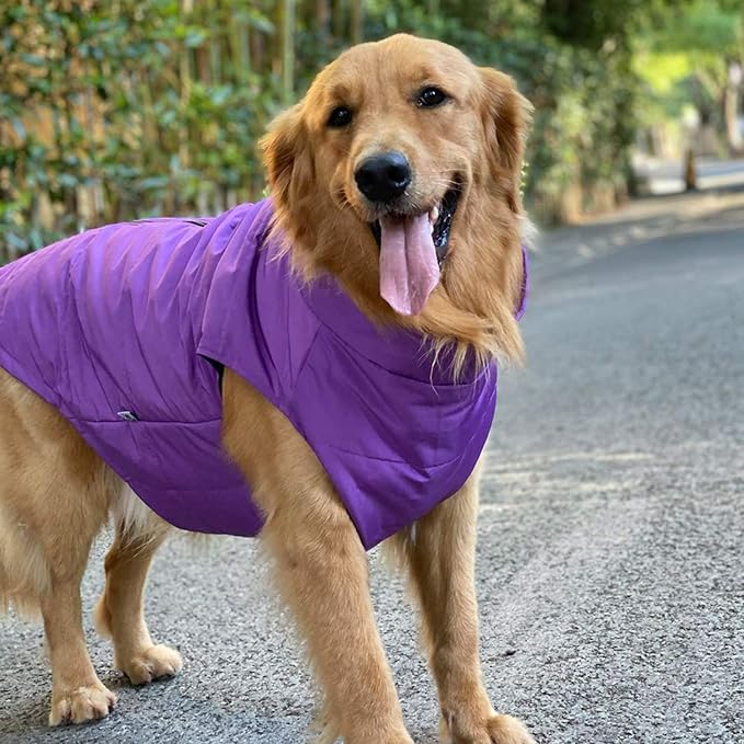 Purple Dog Winter Coat - Waterproof, Windproof, Ultra Warm, Breathable, Soft, Zippered Jacket with Cotton Lining for Small, Medium, Large Dogs
