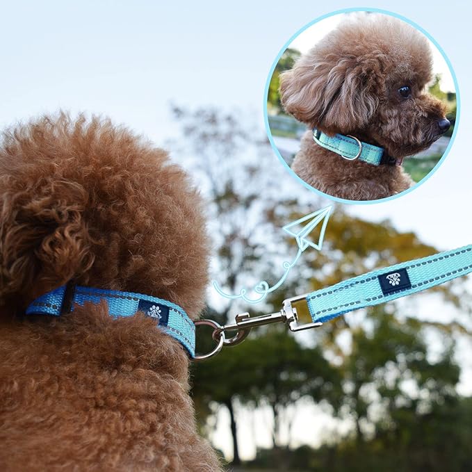 NESTROAD Reflective Dog Collar and Leash Set,Soft Neoprene Pet Collar with Quick Release Buckle,Adjustable Nylon Dog Collars for Small Medium Large Dogs(Small Collar + 5FT Leash,Blue)