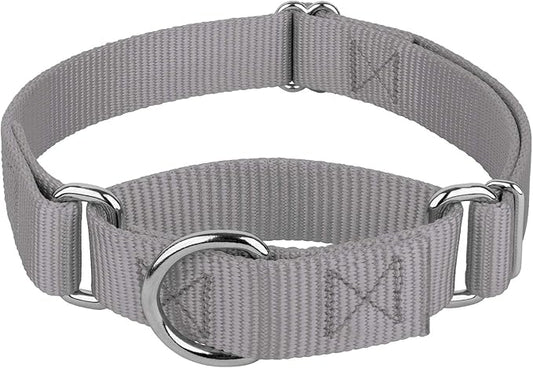 Country Brook Petz Martingale Dog Collar - Heavy-Duty Training Collar with No Buckle - Service Dog Collar for All Pups - Vibrant, Colorful Collection (Silver, 3/8 Inch, 2XS)