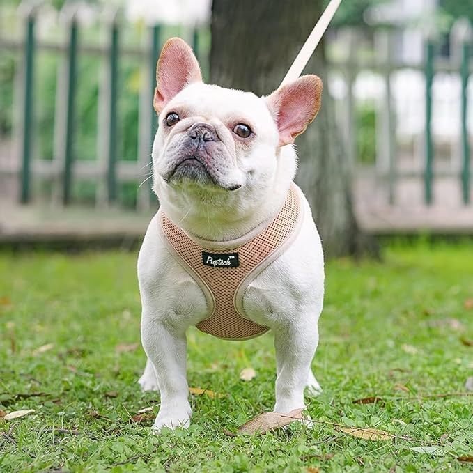 PUPTECK Soft Mesh Dog Harness and Leash Set Pet Puppy Cat Comfort Padded Vest No Pull Harnesses, Solid Beige, XS