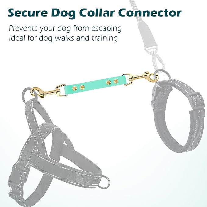 PetBonus Dog Collar Safety Clip, Waterproof Backup Safety Strap for Dog Harness to Prong Collar, Odor Proof Double Ended Clasp Leash Connector for Training Walking (Mint Green)