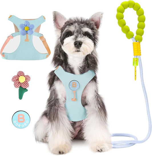 Dog Harness and Leash Set with 2 Flower Patches, No Pull Adjustable Puppy Harness, Step in No Chock Dog Vest for Small Medium Dogs Puppy and Cats(Green, XS)