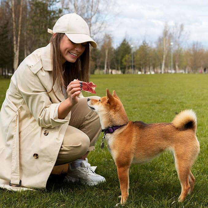 Jungle Calling Duck Wrapped Bones Dog Treats, Made with Real Meat & Cartilage, Rawhide Free Dogs Snacks,Healthy, Easily Digestible, and High Protein Chews Bone Treat