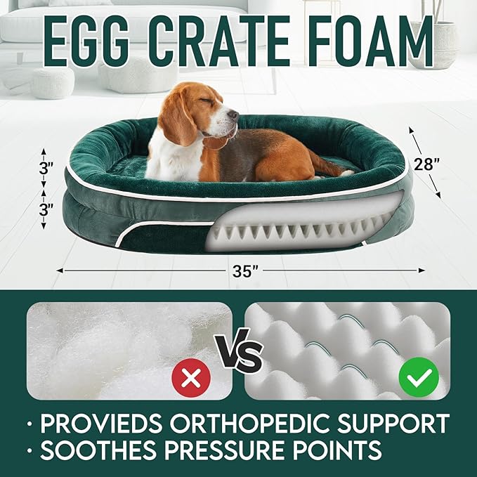 OhGeni Orthopedic Dog Couch Large Sized Pet Beds for Fathers Gifts with Comfort Foam Support, Soft Indestructible Fabric, Machine Washable Waterproof Removable Cover, 35-Inch (Dark Green)
