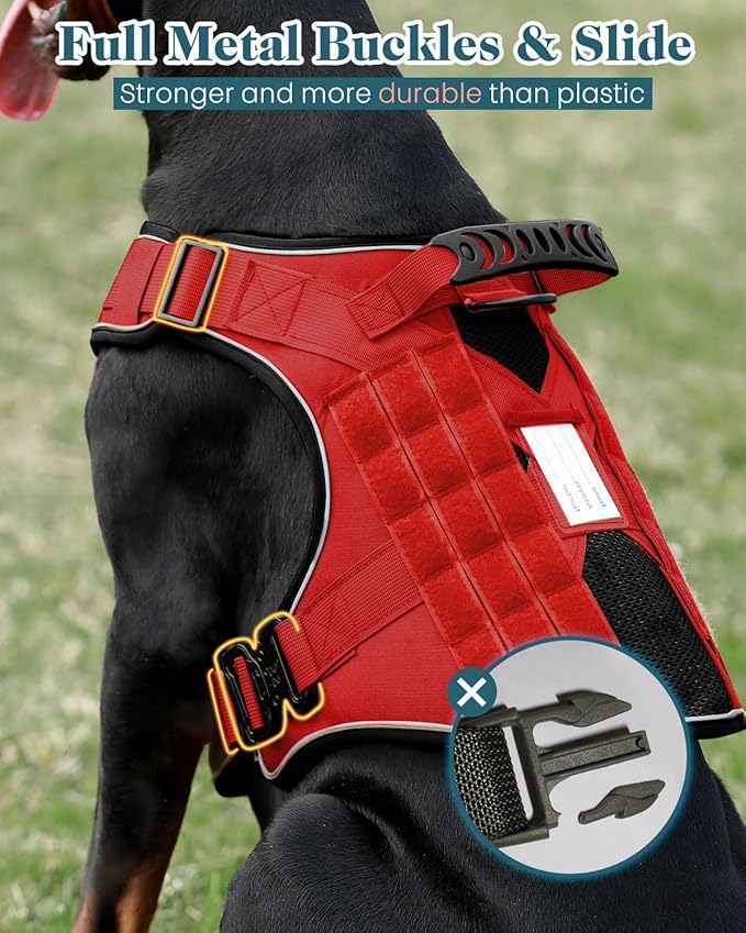 Reflective Red Service Dog in Training Vest Harness Leash Set for Extra Large Dogs, Adjustable Heavy Duty Padded Dog Harness, with Front Clip and Metal Buckles Do Not Pet for Training, Hiking