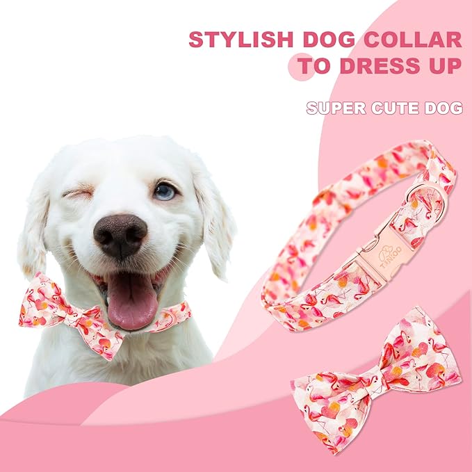 Tunkoo Super Cute Dog Collar with Bow Tie Pink Flamingo Heart - Durable, Adjustable, and Stylish Pet Collar Available in Small Medium Large M