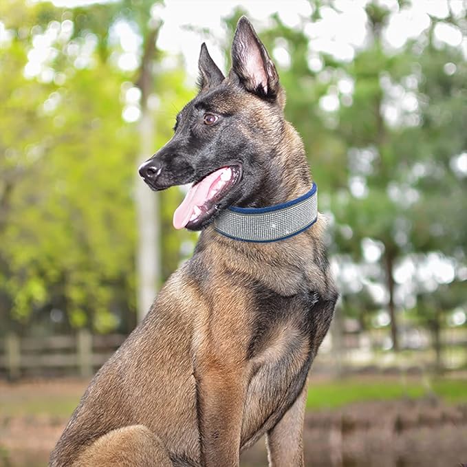 Bling Rhinestone Dog Collar Soft Comfortable Stylish Dog Collar with Bright Reflective Stripe Premium Adjustable Diamond Crystal Pet Collar for Small Medium and Large Dogs (M, Blue)