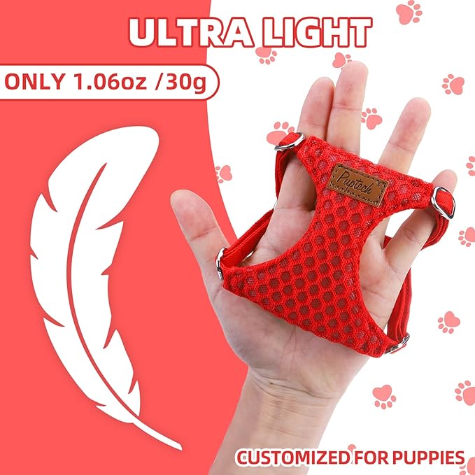 PUPTECK Dog Harness and Leash Set Small Sized, Step-in Cute Puppy Harness, Soft Lightweight Padded Vest, Escape Proof No Pull Pet Harnesses Easy for Walking, Red, XXS