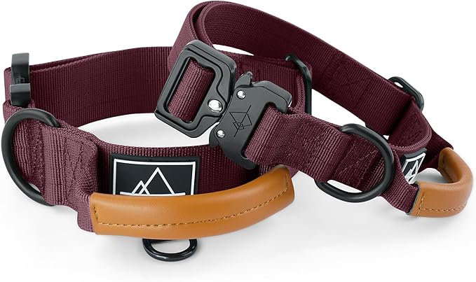 Made to ROAM Premium Explorer Control Collar - Adjustable Heavy Duty Nylon Dog Collar with Quick-Release Metal Buckle and Handle (Vermont Weekends, Control Size 4)