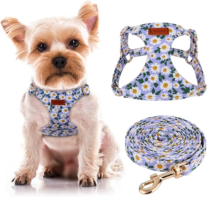 CHEDE No Pull Floral pattern Dog Harness - Lightweight and Soft, Adjustable Small Dog Harness and Leash Set, with Dog Leash, Suitable for Puppy Small and Medium-sized Dog (XS, Purple Daisy)