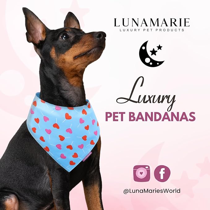 Luxury Pet Birthday Bandanas -Premium & Silky Poly Fabric | 100% Handmade | Custom Shape Dual Layered (LoviePop, Small)