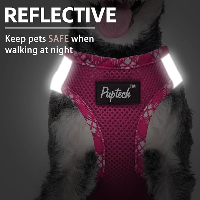 PUPTECK Dog Harness and Leash Set for Small Medium Dogs No Pull Step-in Soft Mesh Puppy Cat Vest Harnesses Reflective at Night, Fuchsia, XS