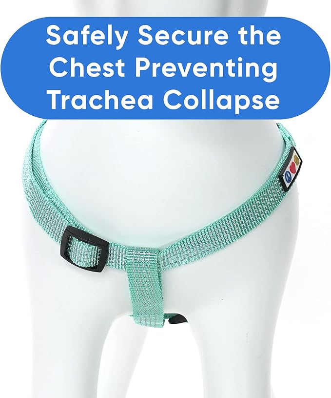 Pawtitas Dog Harness for Large Dogs Teal Dog Harness Step in from a Senior Dog to a Puppy Harness Adjustable Reflective Dog Harness S Reflective Dog Vest