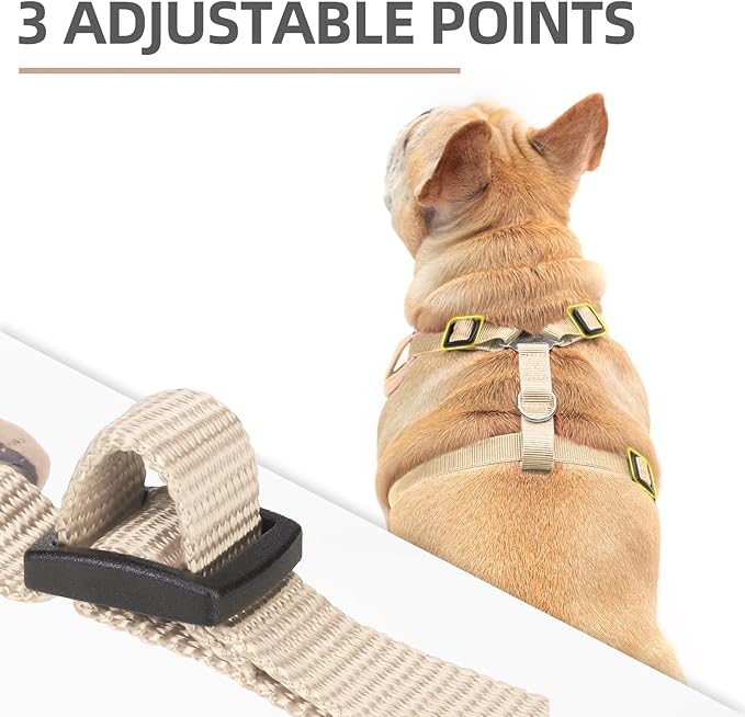 PUPTECK Dog Harness and Leash Set for Small Medium Dogs No Pull, Soft Mesh Adjustable Puppy Cat Harness Reflective at Night, Beige M