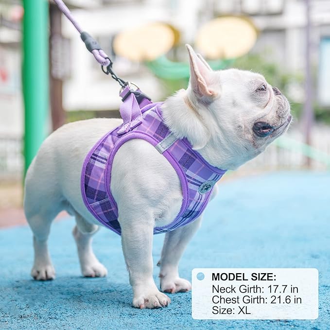 BEAUTYZOO Small Dog Harness and Leash Set, Step in No Choke No Pull Soft Mesh Dog Harnesses Reflective for Extra-Small/Small Medium Puppy Dogs and Cats, Plaid Dog Vest Harness for XS S Pets, Purple L