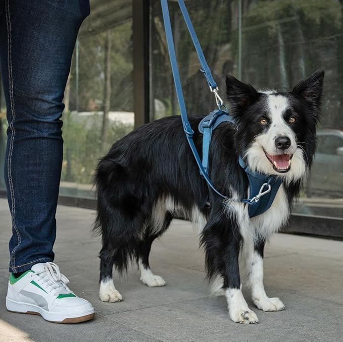 King Macks Dog Harness Set with Collar and Leash, Waste Bag Holder and Dirty Waste Bag Clip, Adjustable for Small/Medium/Large Dogs, Lightweight (Navy Blue, Small)