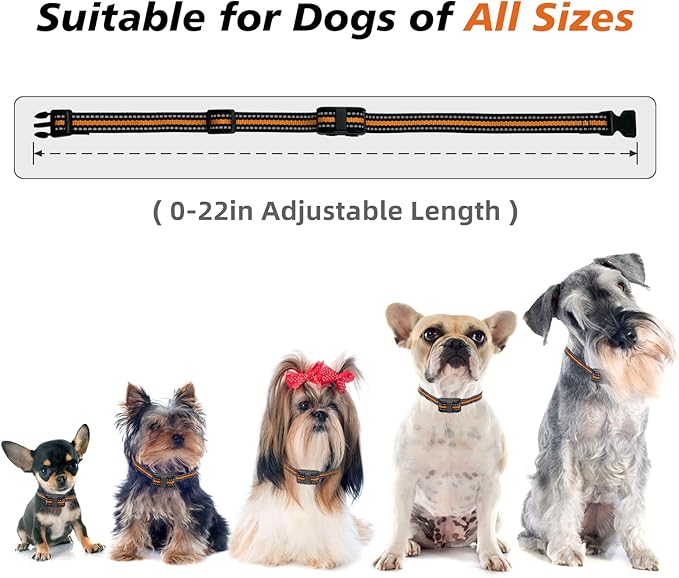 Tiniest Dog Shock Collar, Lightest Dog Training Collar with Remote for Small Dogs 5-15lbs & Medium Large Dogs/Puppies, Waterproof, Rechargeable, 1300ft Range (Orange&Ultra Tiny)