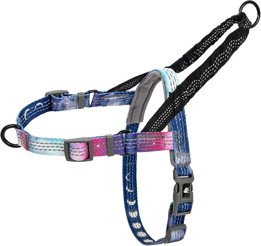 Leash Boss No Pull Dog Harness, Easy Walk for Small, Medium, and Large Pets, Reflective with Rear and Front Clip Attachment (Space Pattern, Small)