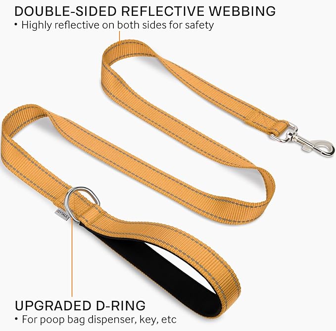 Joytale Double-Sided Reflective Dog Leash, 6 FT/5 FT/4 FT, Padded Handle Nylon Heavy Duty Leashes for Small & Medium Dogs Walking, Khaki, 4FT