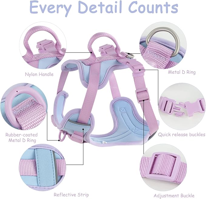 No Pull Dog Harness Adjustable Soft Padded Pet Vest with Control Handle Adorable Daily Harness for Dogs（Spun Sugar XS）