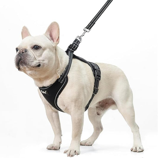 PUPTECK Dog Harness and Leash Set for Small Medium Sized Dogs, No Pull Dog Harness for Walking Training, Adjustable Reflective Puppy French Bulldog Frenchie Harness Soft Padded Vest, Black, L