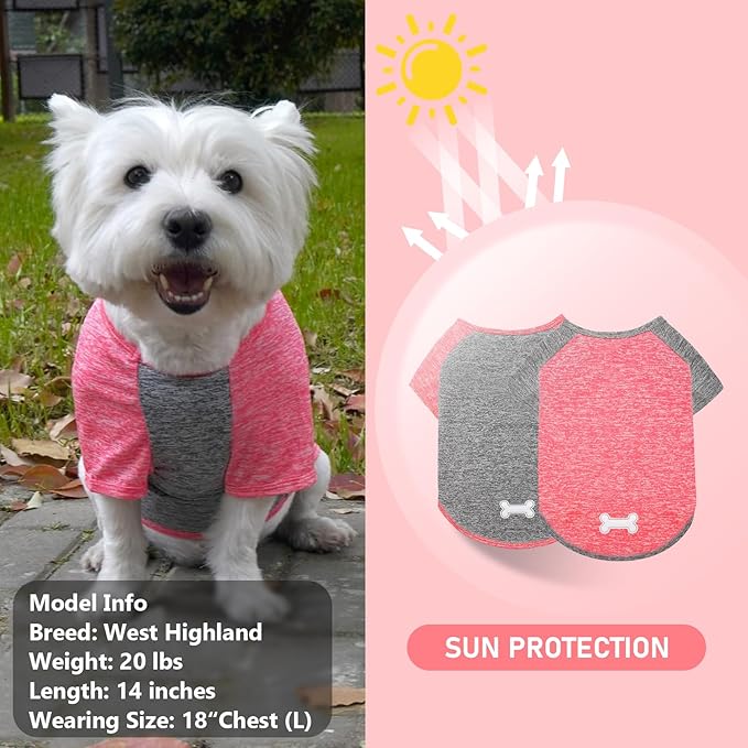 KYEESE 2 Pack Dog Shirts Raglan Sleeve Quick Dry Soft Stretchy Small Dog T-Shirts with Reflective Label Lightweight Pet Clothes Sun Protection, Coral Red+Grey, XL