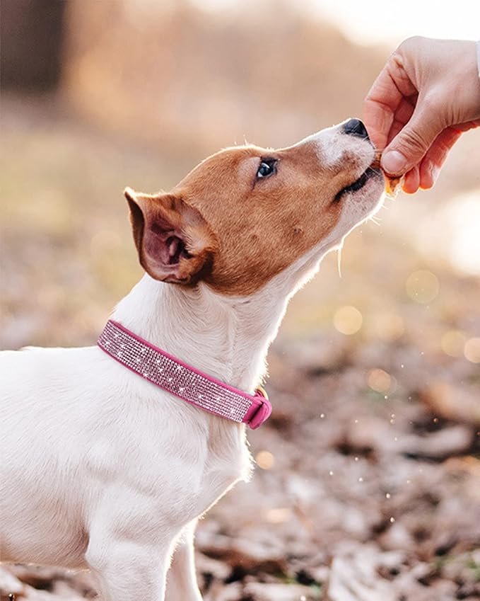 Dog Collar for Medium Dogs, Adjustable Leather Suede Bling Dog Collars，Rose Red Dog Collar Cat Collar, Rhinestone Dog Collar (M, Rose red)